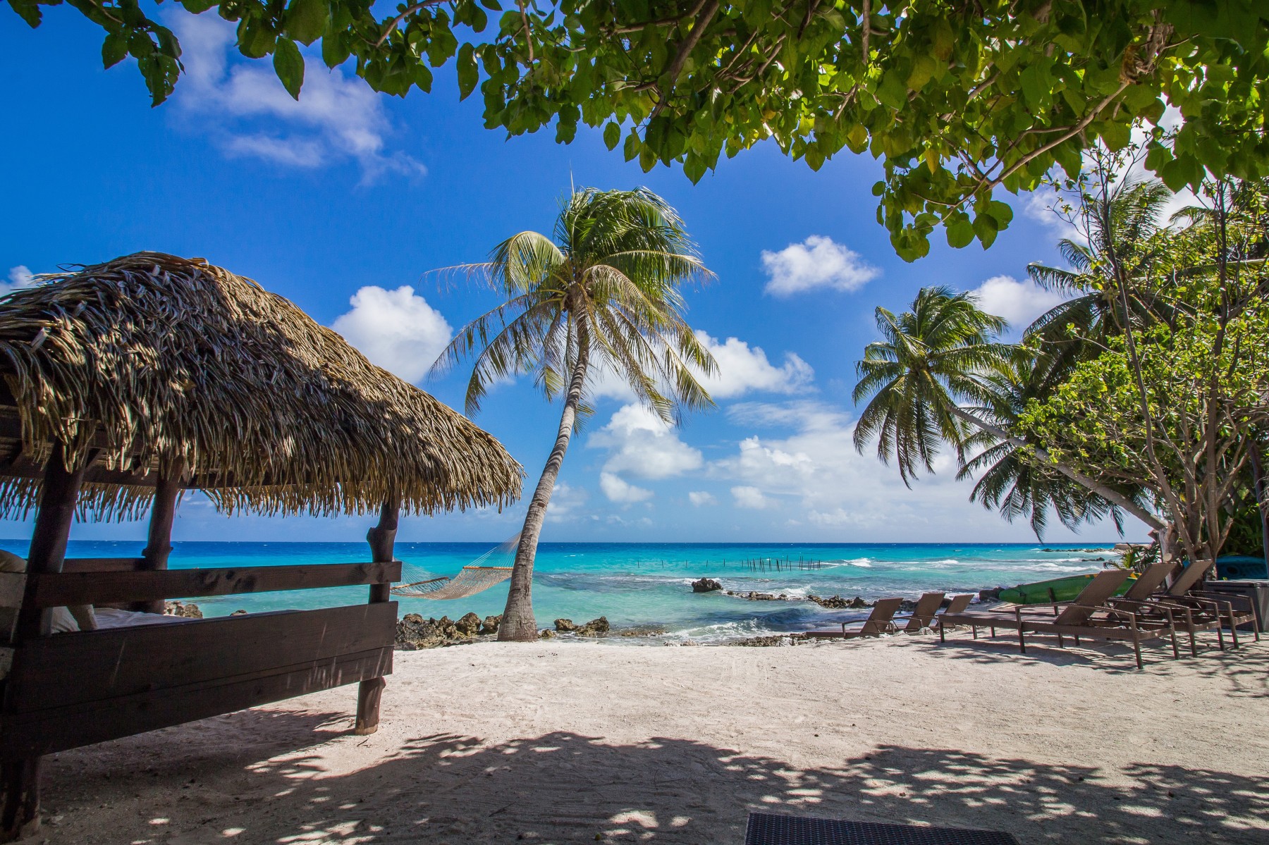 Pension Le Coconut Lodge